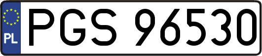 PGS96530