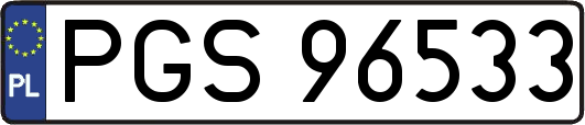PGS96533