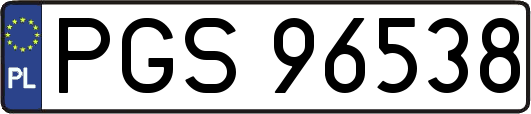 PGS96538