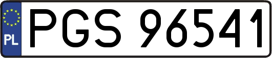 PGS96541