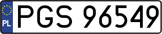 PGS96549