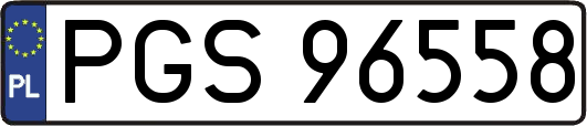 PGS96558