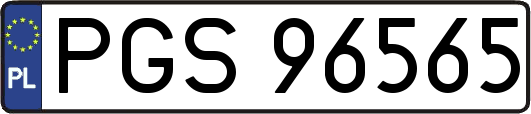 PGS96565