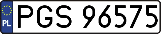 PGS96575