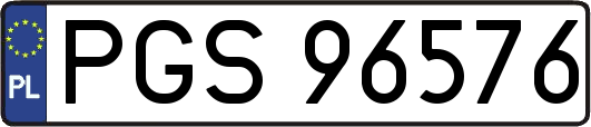PGS96576