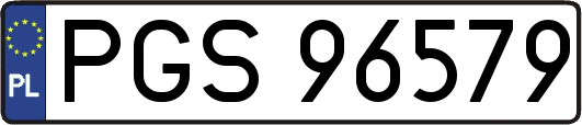 PGS96579