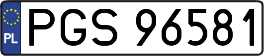 PGS96581
