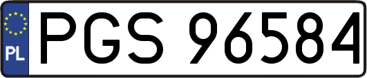 PGS96584