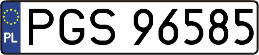 PGS96585