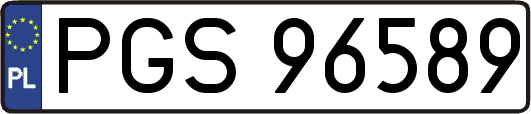 PGS96589