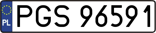PGS96591