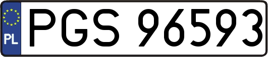 PGS96593