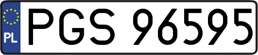 PGS96595