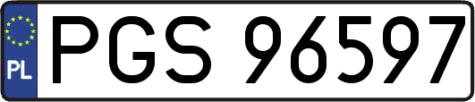 PGS96597