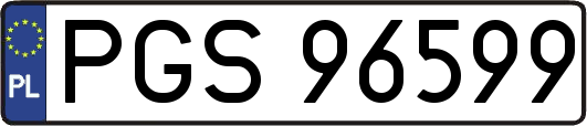 PGS96599