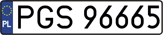 PGS96665
