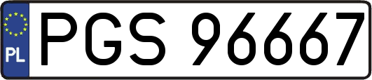 PGS96667
