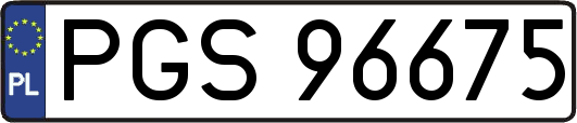PGS96675