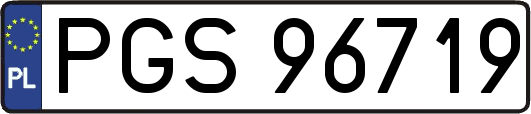 PGS96719