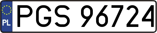 PGS96724