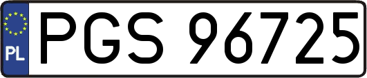 PGS96725
