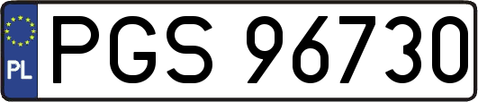 PGS96730