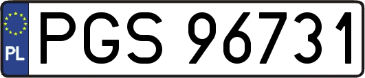 PGS96731