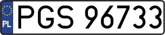 PGS96733