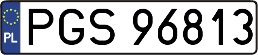 PGS96813