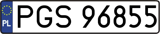 PGS96855