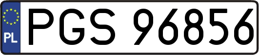 PGS96856