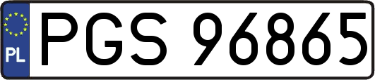 PGS96865