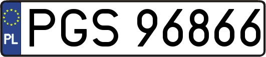 PGS96866
