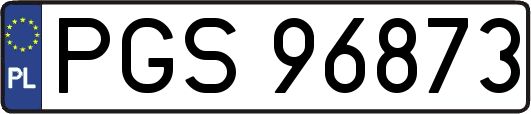 PGS96873