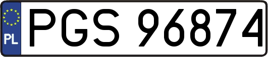 PGS96874