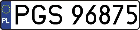 PGS96875