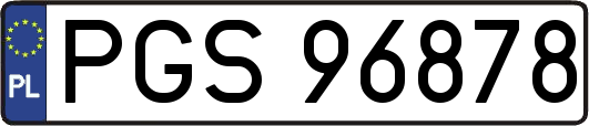 PGS96878
