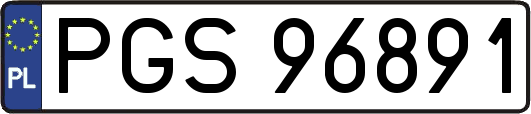 PGS96891