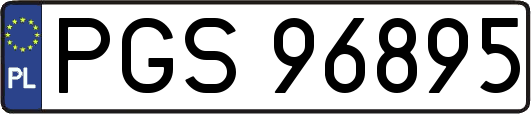PGS96895
