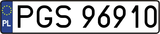 PGS96910
