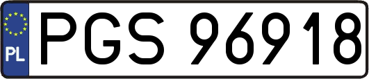 PGS96918