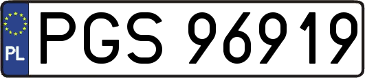 PGS96919