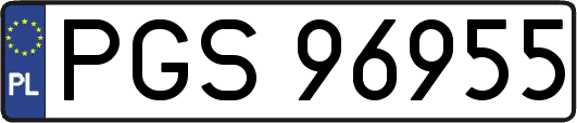 PGS96955