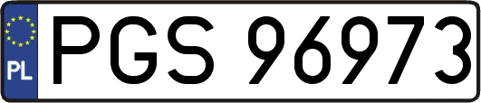 PGS96973