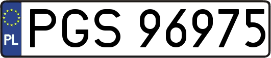 PGS96975