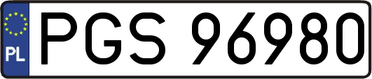 PGS96980