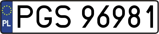 PGS96981
