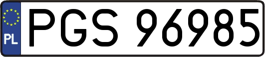 PGS96985
