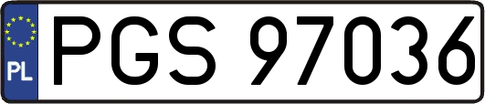 PGS97036
