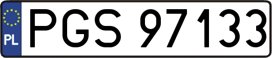PGS97133